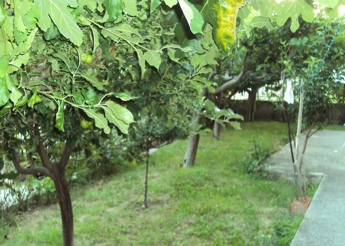 Apartment Anna Sonia *